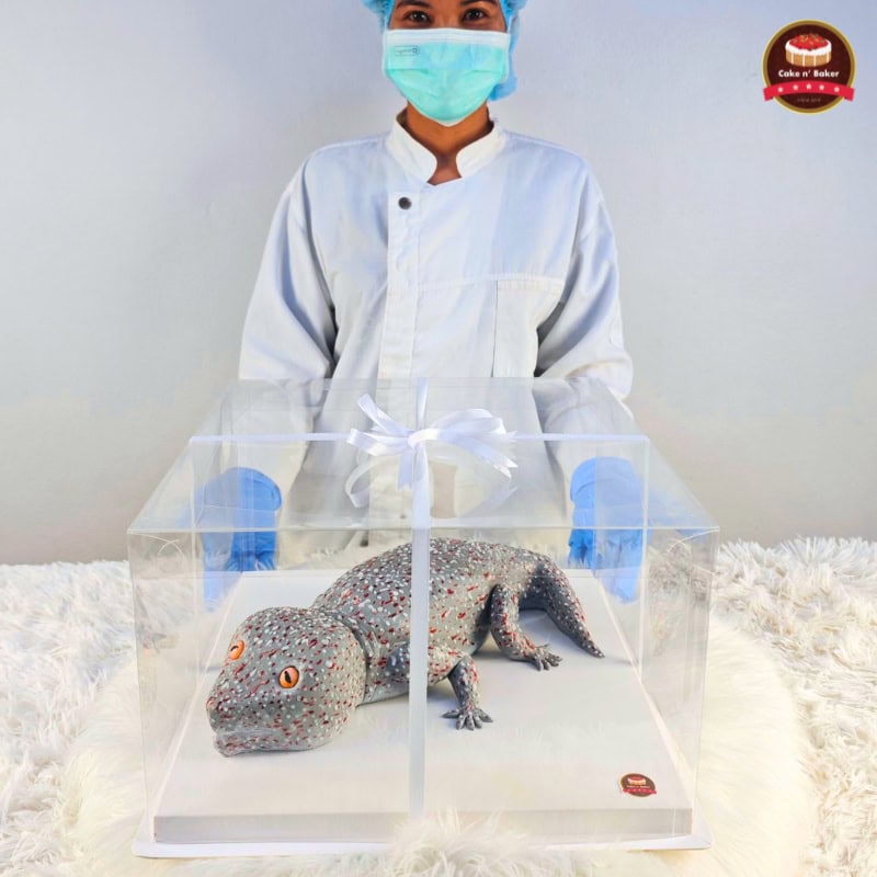 เค้กสัตว์ exotic เหมือนน้องตัวจริง 10 เค้กตุ๊กแก เค้กสัตว์ exotic เหมือนน้องตัวจริง Cake n' Baker : เค้กแอนด์เบคเกอร์