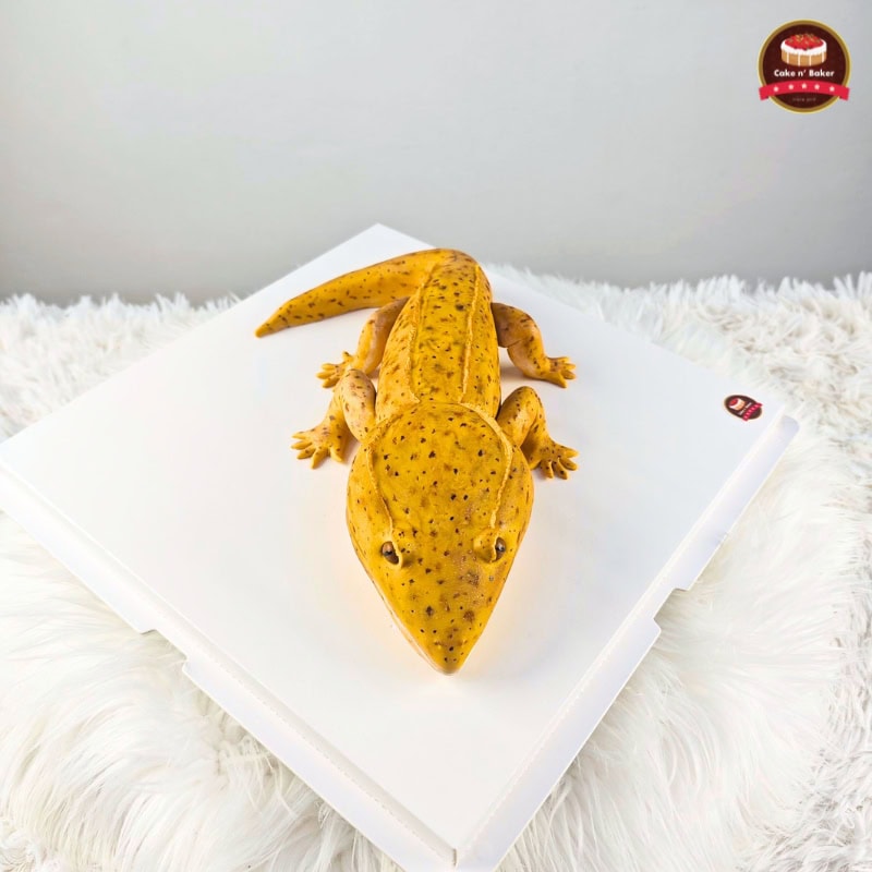 เค้กสัตว์ exotic เหมือนน้องตัวจริง 16 เค้กรูปสัตว์ exotic