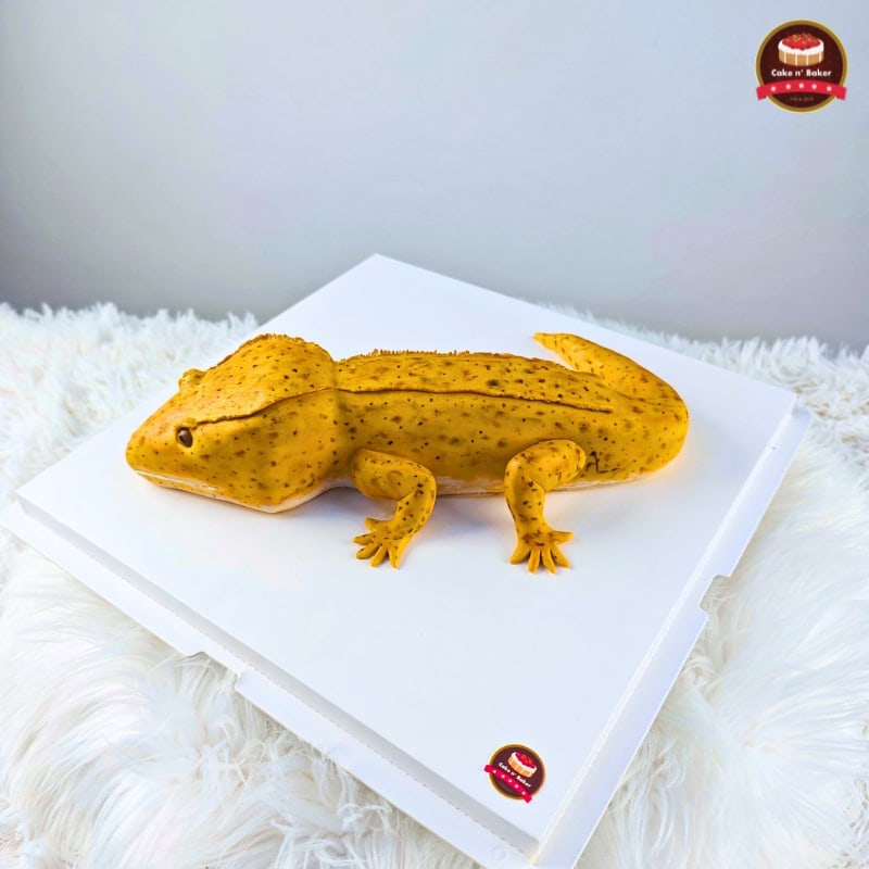 เค้กสัตว์ exotic เหมือนน้องตัวจริง 6 เค้กกิ้งก่า เค้กสัตว์ exotic เหมือนน้องตัวจริง Cake n' Baker : เค้กแอนด์เบคเกอร์